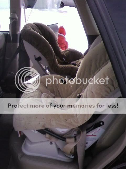 side_seatbelt.jpg